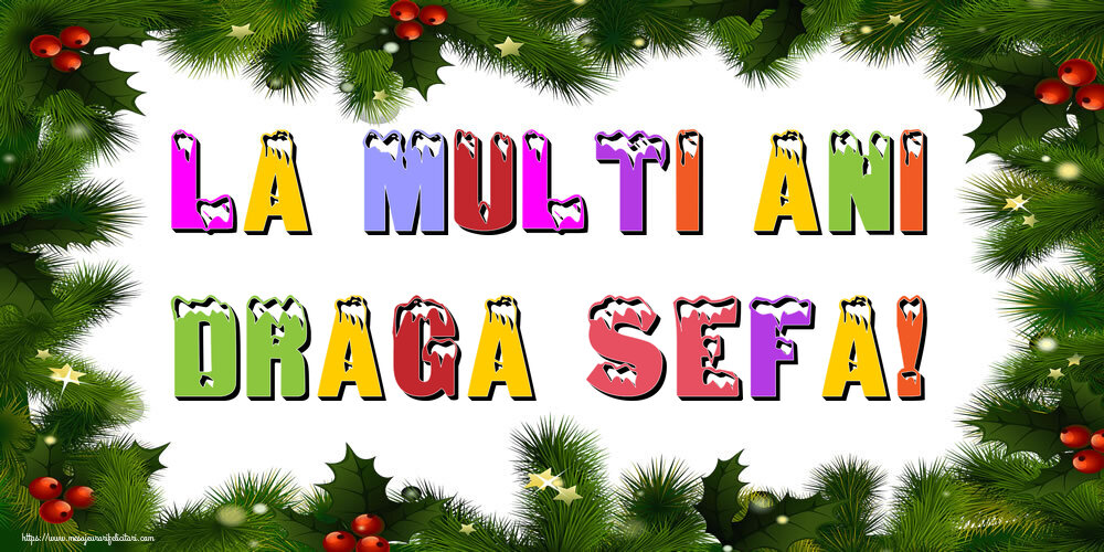 Felicitari frumoase de Anul Nou pentru Sefa | La multi ani draga sefa!