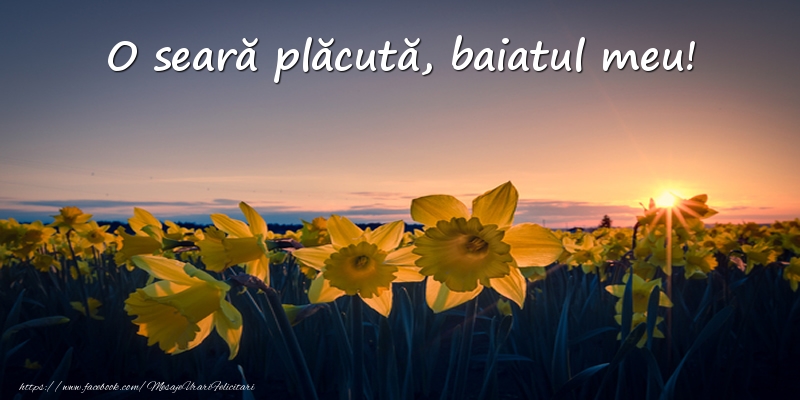 Felicitari frumoase de buna seara pentru Baiat | Flori: O seară plăcută, baiatul meu!