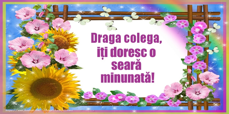 Felicitari frumoase de buna seara pentru Colega | Draga colega, iți doresc o seară minunată!