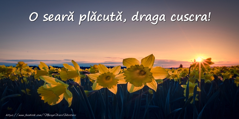 Felicitari frumoase de buna seara pentru Cuscra | Flori: O seară plăcută, draga cuscra!