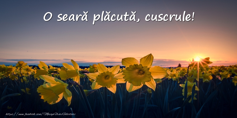 Felicitari frumoase de buna seara pentru Cuscru | Flori: O seară plăcută, cuscrule!