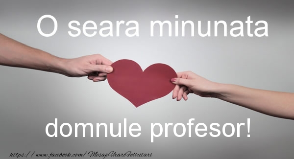 Felicitari frumoase de buna seara pentru Profesor | O seara minunata domnule profesor!