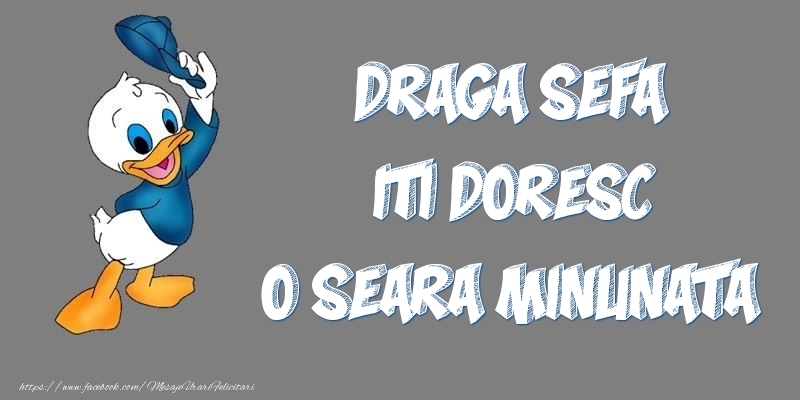 Felicitari frumoase de buna seara pentru Sefa | Draga sefa iti doresc o seara minunata