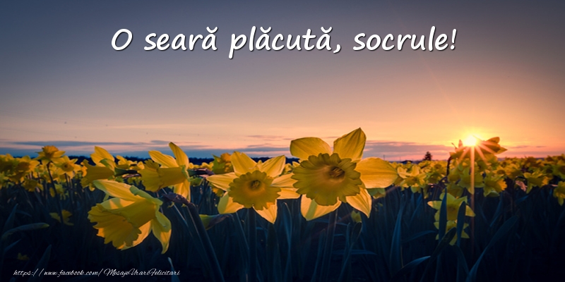 Felicitari frumoase de buna seara pentru Socru | Flori: O seară plăcută, socrule!