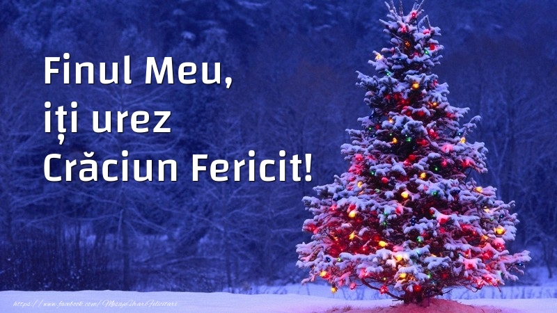 Felicitari frumoase de Craciun pentru Fin | Finul meu, iți urez Crăciun Fericit!