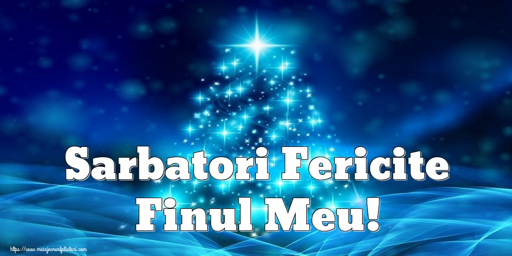 Felicitari frumoase de Craciun pentru Fin | Sarbatori Fericite finul meu!