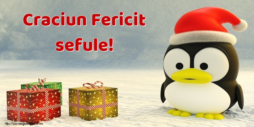 Felicitari frumoase de Craciun pentru Sef | Craciun Fericit sefule!