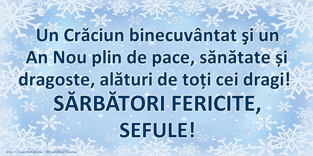 Felicitari frumoase de Craciun pentru Sef | Un Crăciun binecuvântat şi un An Nou plin de pace, sănătate și dragoste, alături de toți cei dragi! SĂRBĂTORI FERICITE, sefule!