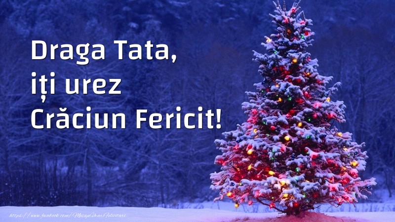 Felicitari frumoase de Craciun pentru Tata | Draga tata, iți urez Crăciun Fericit!