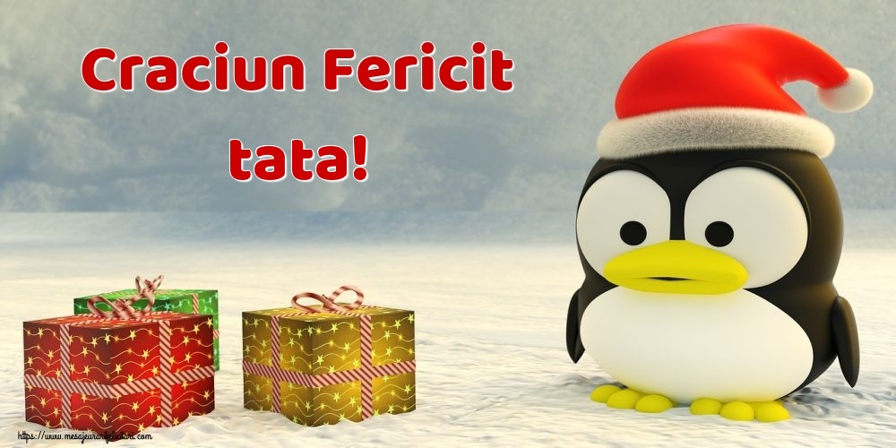 Felicitari frumoase de Craciun pentru Tata | Craciun Fericit tata!