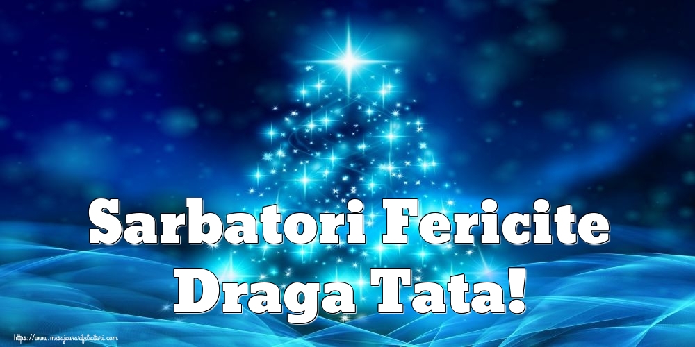 Felicitari frumoase de Craciun pentru Tata | Sarbatori Fericite draga tata!