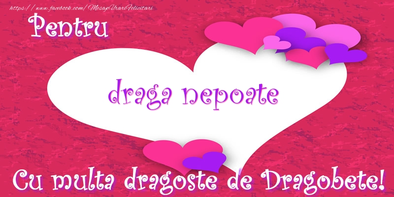 Felicitari frumoase de Dragobete pentru Nepot | Pentru draga nepoate Cu multa dragoste de Dragobete!