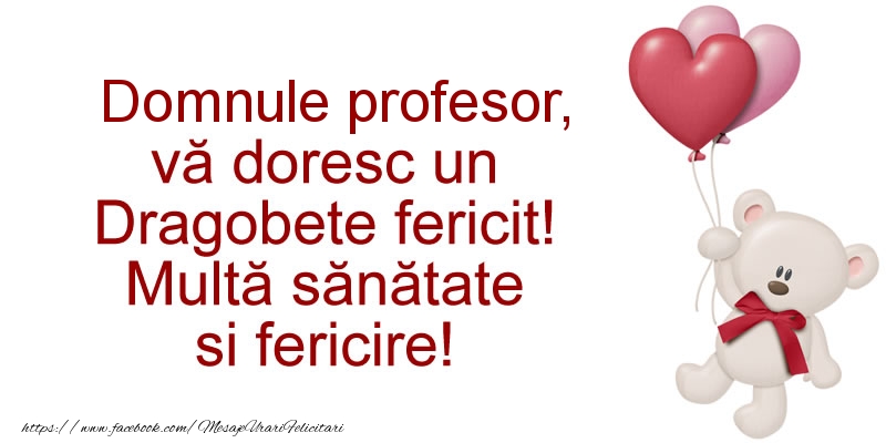 Felicitari frumoase de Dragobete pentru Profesor | Domnule profesor va doresc un Dragobete fericit! Multa sanatate si fericire!