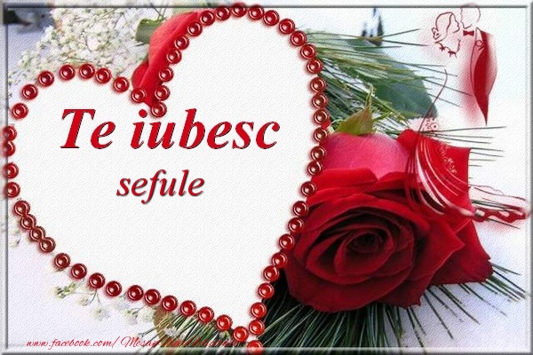 Felicitari frumoase de Dragobete pentru Sef | Te iubesc  sefule