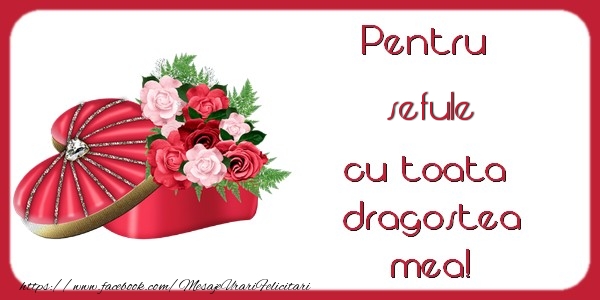 Felicitari frumoase de Dragobete pentru Sef | Pentru sefule cu toata dragostea mea!
