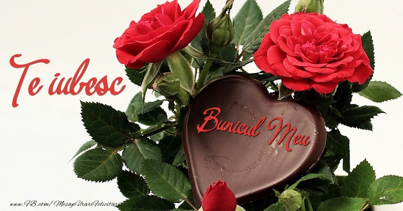 Felicitari frumoase de dragoste pentru Bunic | Te iubesc, bunicul meu!