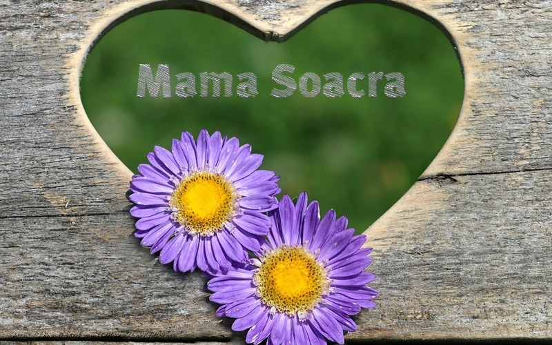 Felicitari frumoase de dragoste pentru Soacra | Mama soacra