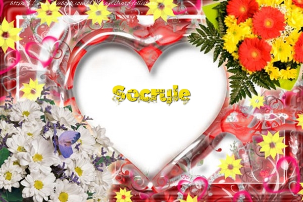 Felicitari frumoase de dragoste pentru Socru | Socrule