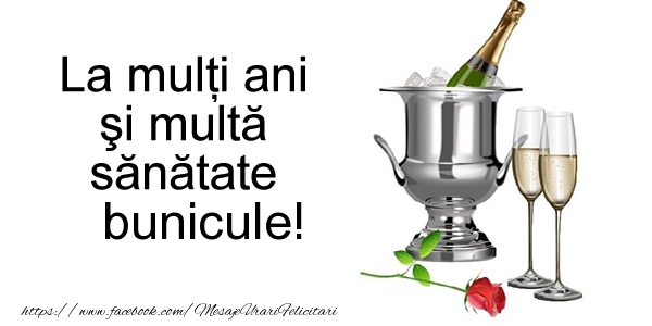  Felicitari frumoase de la multi ani pentru Bunic | La multi ani si multa sanatate bunicule!