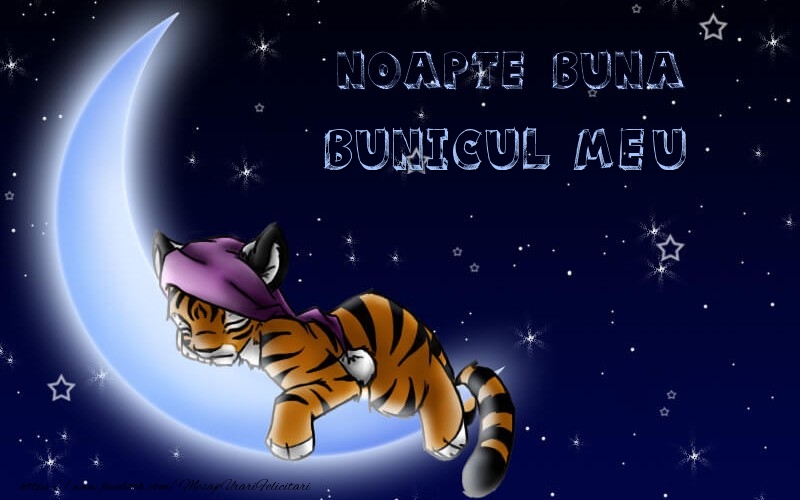  Felicitari frumoase de noapte buna pentru Bunic | Noapte buna bunicul meu