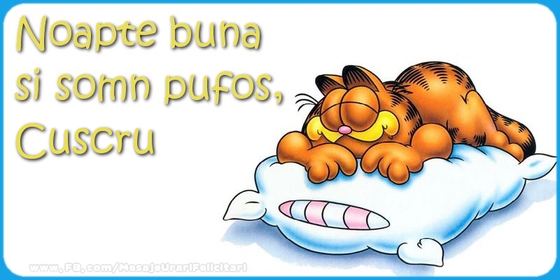 Felicitari frumoase de noapte buna pentru Cuscru | Noapte buna  si somn pufos,cuscru