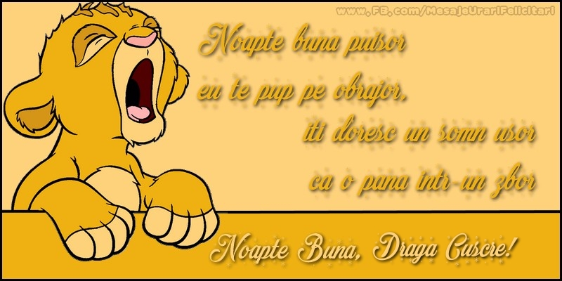 Felicitari frumoase de noapte buna pentru Cuscru | Noapte buna, draga cuscre!