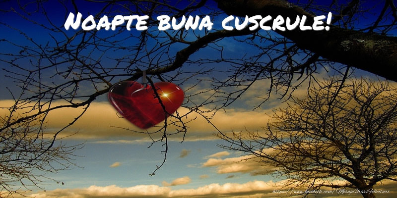 Felicitari frumoase de noapte buna pentru Cuscru | Noapte buna cuscrule!