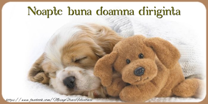  Felicitari frumoase de noapte buna pentru Diriginta | Noapte buna doamna diriginta