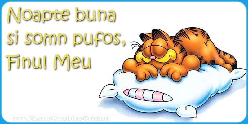 Felicitari frumoase de noapte buna pentru Fin | Noapte buna  si somn pufos,finul meu