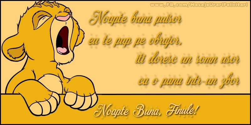 Felicitari frumoase de noapte buna pentru Fin | Noapte buna, finule!