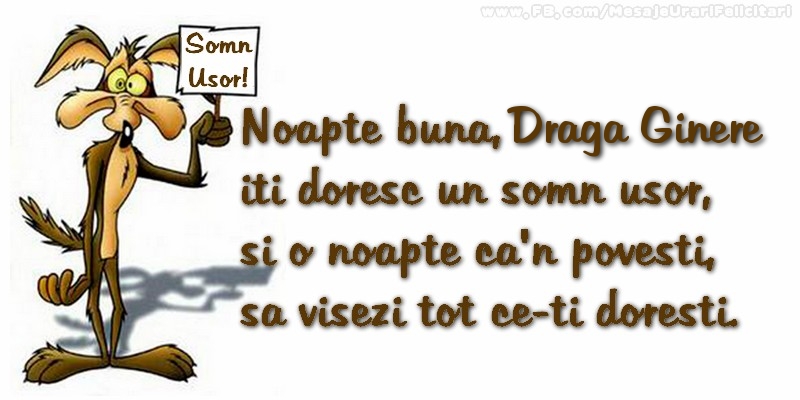 Felicitari frumoase de noapte buna pentru Ginere | Noapte buna, draga ginere. Iti doresc un somn usor,  si o noapte ca-n povesti,  sa visezi tot ce-ti doresti.
