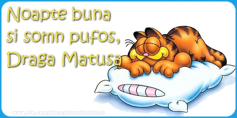 Felicitari frumoase de noapte buna pentru Matusa | Noapte buna  si somn pufos,draga matusa