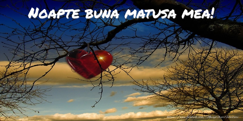 Felicitari frumoase de noapte buna pentru Matusa | Noapte buna matusa mea!
