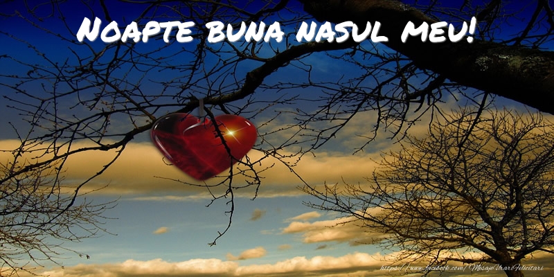 Felicitari frumoase de noapte buna pentru Nas | Noapte buna nasul meu!