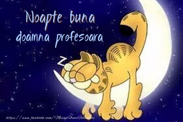Felicitari frumoase de noapte buna pentru Profesoara | Noapte buna doamna profesoara