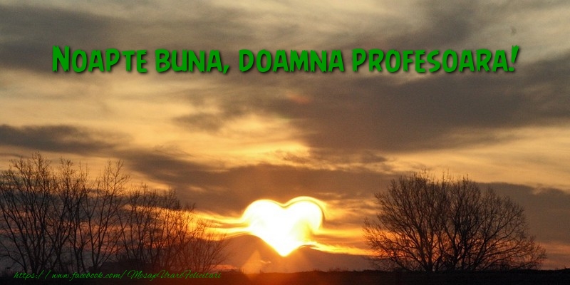 Felicitari frumoase de noapte buna pentru Profesoara | Noapte buna doamna profesoara