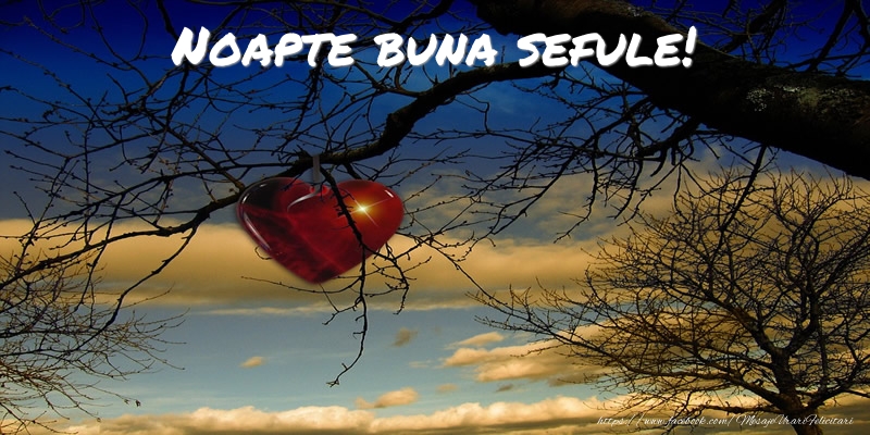 Felicitari frumoase de noapte buna pentru Sef | Noapte buna sefule!