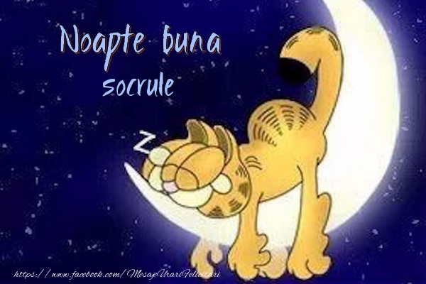Felicitari frumoase de noapte buna pentru Socru | Noapte buna socrule