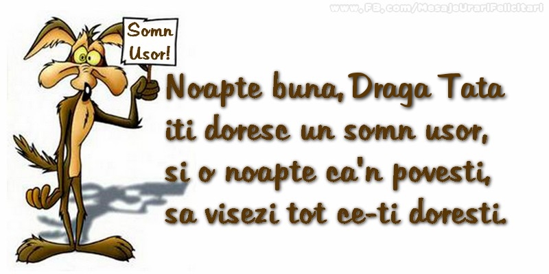 Felicitari frumoase de noapte buna pentru Tata | Noapte buna, draga tata. Iti doresc un somn usor,  si o noapte ca-n povesti,  sa visezi tot ce-ti doresti.