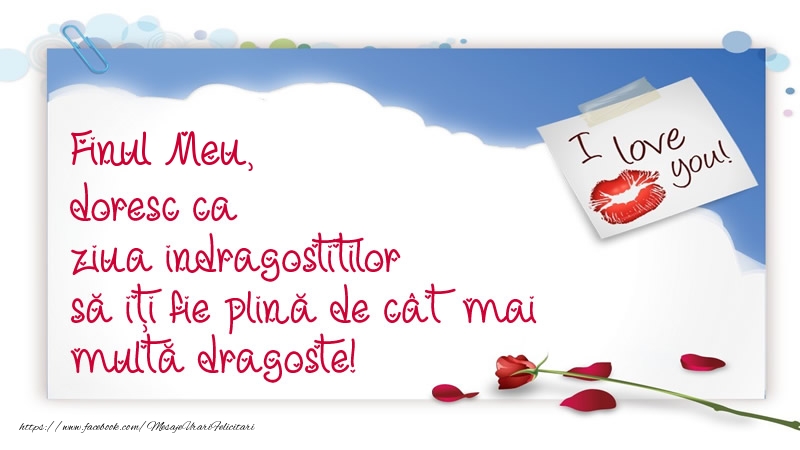 Felicitari frumoase de Ziua indragostitilor pentru Fin | Finul meu, doresc ca ziua indragostitilor să iți fie plină de cât mai multă dragoste!